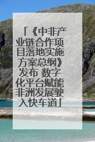 《中非产业链合作项目落地实施方案总纲》发布 数字化平台赋能非洲发展驶入快车道