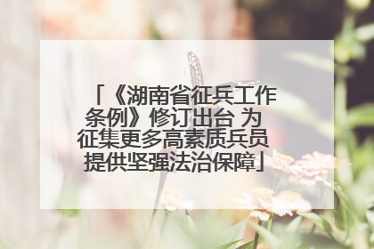 《湖南省征兵工作条例》修订出台 为征集更多高素质兵员提供坚强法治保障