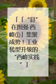 「“县”在图强·西峰①」集聚成势！工业转型升级的“西峰实践”