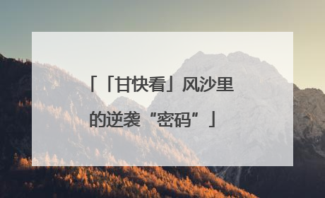 「甘快看」风沙里的逆袭“密码”
