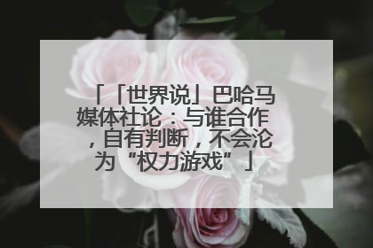 「世界说」巴哈马媒体社论：与谁合作，自有判断，不会沦为“权力游戏”