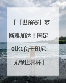 「世预赛」梦断雅加达！国足0比1负于印尼无缘世界杯