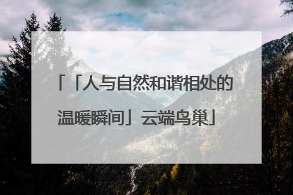 「人与自然和谐相处的温暖瞬间」云端鸟巢