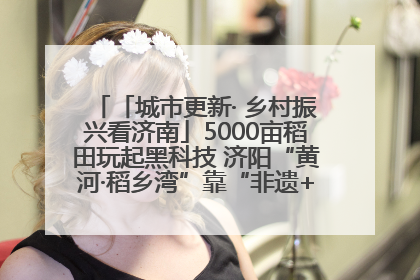 「城市更新· 乡村振兴看济南」5000亩稻田玩起黑科技 济阳“黄河·稻乡湾”靠“非遗+露营”火出圈