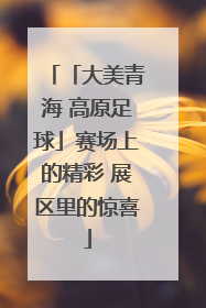 「大美青海 高原足球」赛场上的精彩 展区里的惊喜