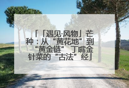 「遇见·风物」芒种：从“黄花地”到“黄金链” 丁嘴金针菜的“古法”经