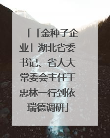 「金种子企业」湖北省委书记、省人大常委会主任王忠林一行到依瑞德调研