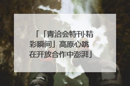 「青洽会特刊·精彩瞬间」高原心跳 在开放合作中澎湃