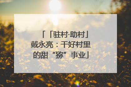 「驻村·助村」戴永亮：干好村里的甜“猕”事业