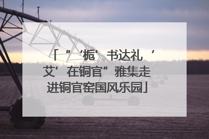 “‘栀’书达礼‘艾’在铜官”雅集走进铜官窑国风乐园