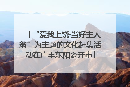 “爱我上饶·当好主人翁”为主题的文化赶集活动在广丰东阳乡开市
