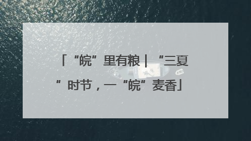 “皖”里有粮｜“三夏”时节，一“皖”麦香
