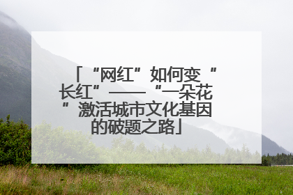 “网红”如何变“长红”——“一朵花”激活城市文化基因的破题之路