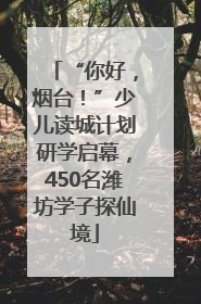 “你好，烟台！”少儿读城计划研学启幕，450名潍坊学子探仙境
