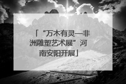 “万木有灵—非洲雕塑艺术展”河南安阳开展