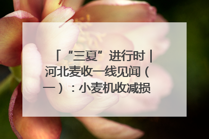 “三夏”进行时｜河北麦收一线见闻（一）：小麦机收减损“竞技” 农机高手麦田“过招”