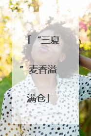 “三夏”麦香溢满仓