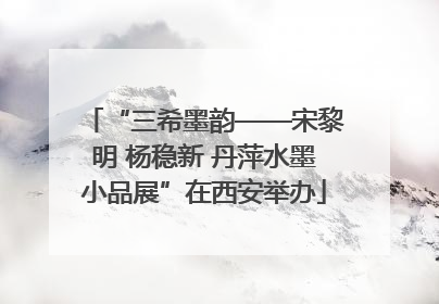 “三希墨韵——宋黎明 杨稳新 丹萍水墨小品展”在西安举办