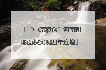 “中原粮仓”河南耕地面积实现四年连增