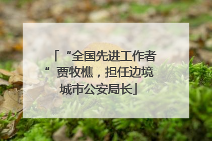 “全国先进工作者”贾牧樵，担任边境城市公安局长