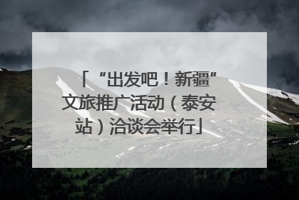 “出发吧！新疆”文旅推广活动（泰安站）洽谈会举行