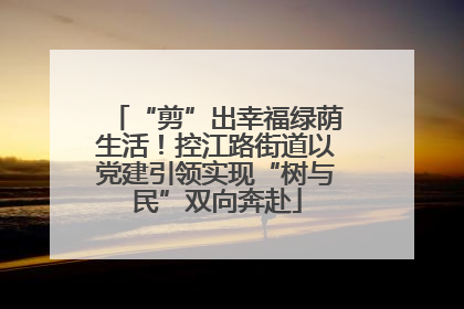 “剪”出幸福绿荫生活！控江路街道以党建引领实现“树与民”双向奔赴