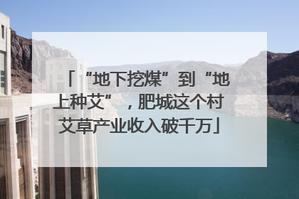 “地下挖煤”到“地上种艾”，肥城这个村艾草产业收入破千万