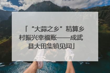 “大蒜之乡”精算乡村振兴幸福账——成武县大田集镇见闻