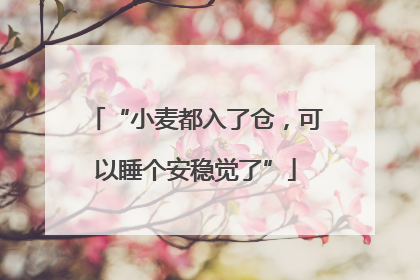 “小麦都入了仓，可以睡个安稳觉了”