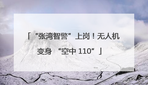“张湾智警”上岗！无人机变身 “空中 110”