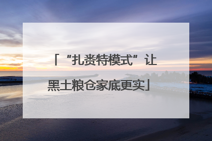 “扎赉特模式”让黑土粮仓家底更实