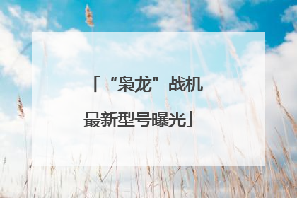 “枭龙”战机最新型号曝光