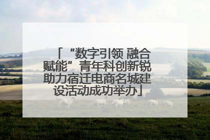 “数字引领 融合赋能”青年科创新锐助力宿迁电商名城建设活动成功举办