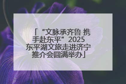 “文脉承齐鲁 携手赴东平”2025东平湖文旅走进济宁推介会圆满举办