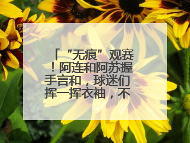 “无痕”观赛！阿连和阿苏握手言和，球迷们挥一挥衣袖，不留下一片云彩