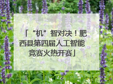 “机”智对决！肥西县第四届人工智能竞赛火热开赛