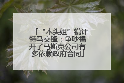 “木头姐”锐评特马交锋：争吵揭开了马斯克公司有多依赖政府合同