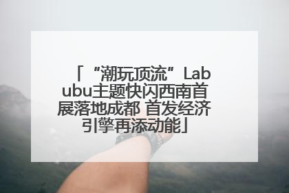 “潮玩顶流”Labubu主题快闪西南首展落地成都 首发经济引擎再添动能