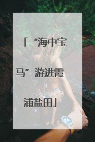 “海中宝马”游进霞浦盐田