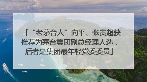 “老茅台人”向平、张贵超获推荐为茅台集团副总经理人选，后者是集团最年轻党委委员