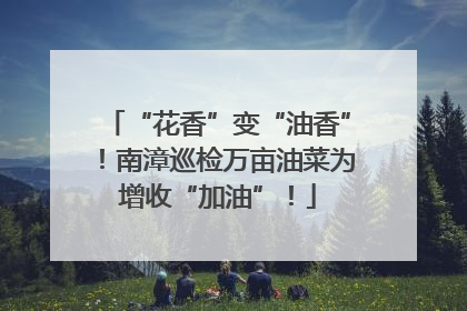 “花香”变“油香”！南漳巡检万亩油菜为增收“加油”！