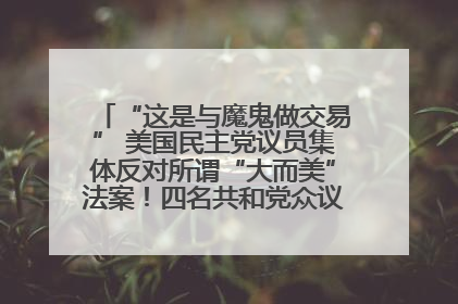 “这是与魔鬼做交易” 美国民主党议员集体反对所谓“大而美”法案！四名共和党众议员投反对票