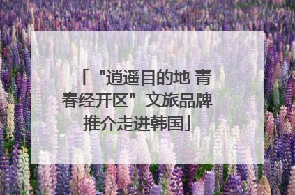“逍遥目的地 青春经开区”文旅品牌推介走进韩国