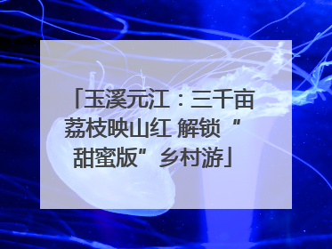 玉溪元江：三千亩荔枝映山红 解锁“甜蜜版”乡村游