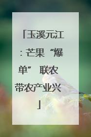 玉溪元江：芒果“爆单” 联农带农产业兴