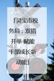 灵宝市税务局：双措并举 赋能干部成长新动能