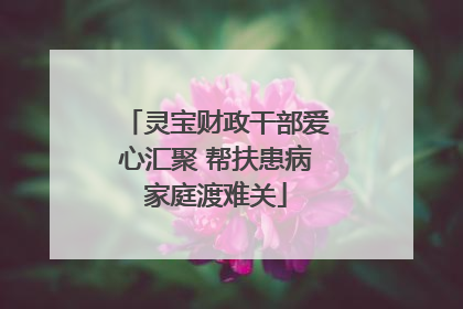灵宝财政干部爱心汇聚 帮扶患病家庭渡难关