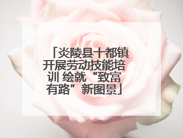 炎陵县十都镇开展劳动技能培训 绘就“致富有路”新图景