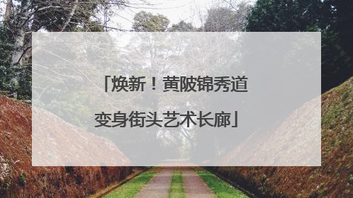 焕新！黄陂锦秀道变身街头艺术长廊