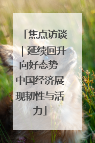 焦点访谈｜延续回升向好态势 中国经济展现韧性与活力